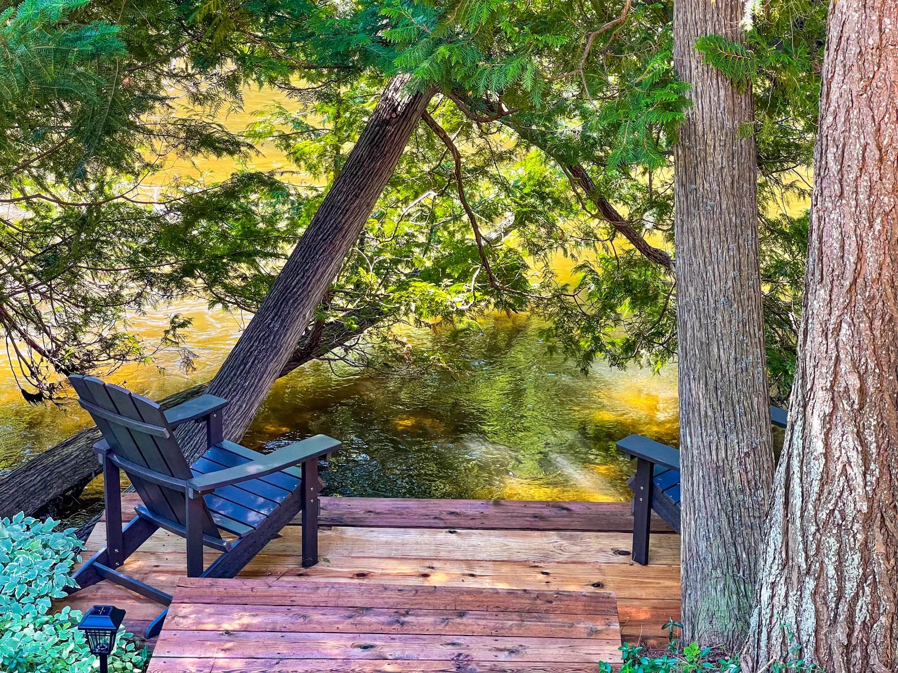 Firefly Lodge — gallery preview 1