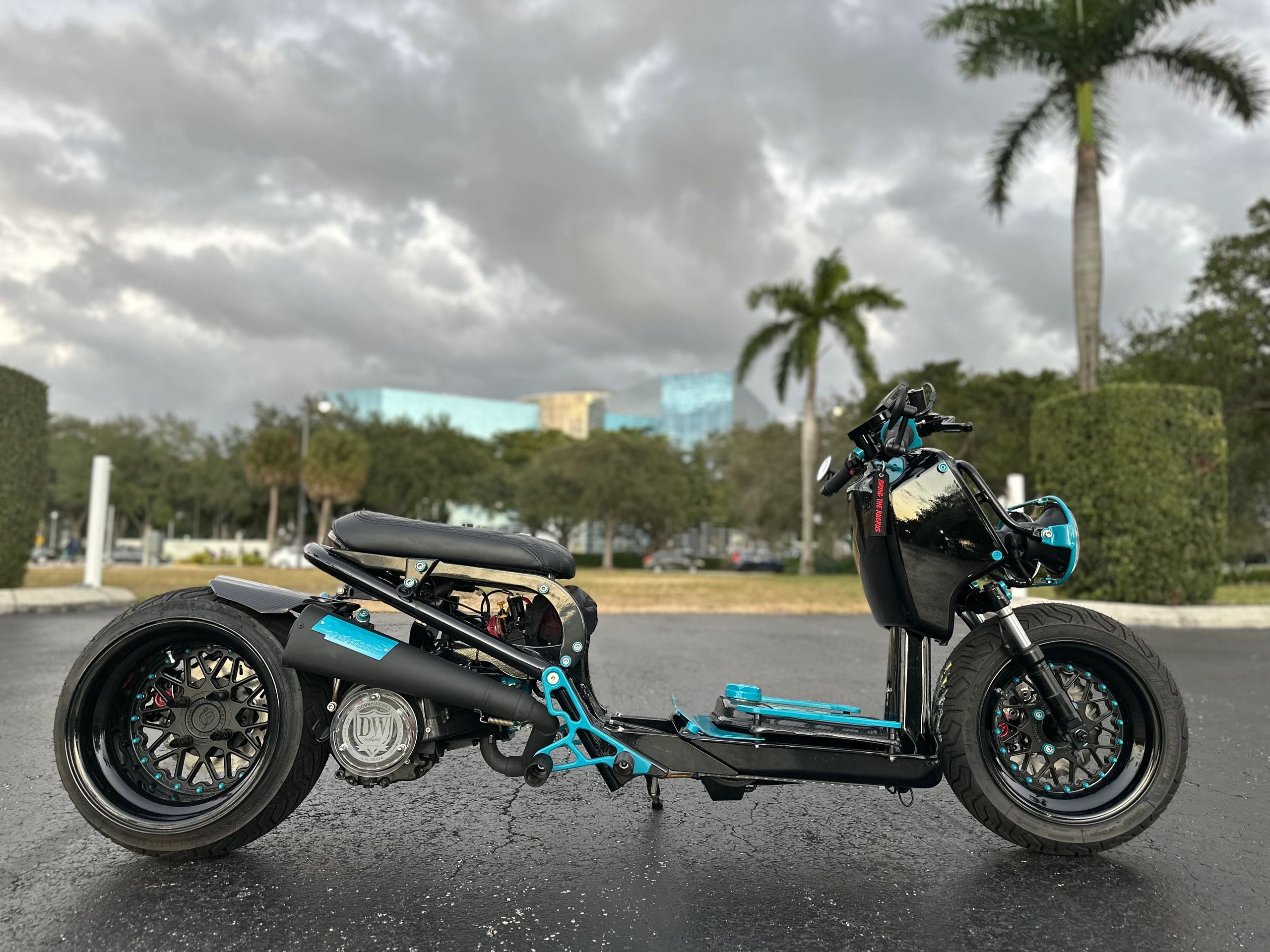 Kick Up A Ruckus Stretched Ruckus Bike