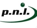 PNL Metals