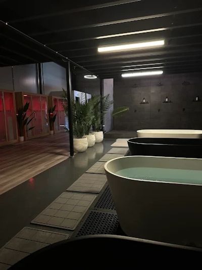 Modern spa with bathtubs and plants under soft lighting.