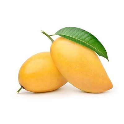 Premium Indian mangoes with rich flavor and natural sweetness.