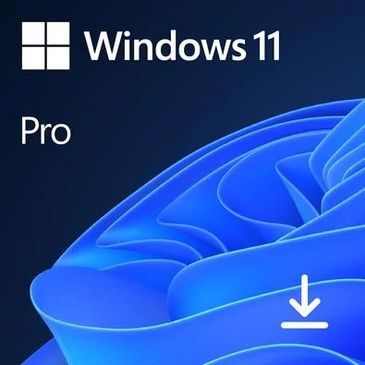 Windows 11 pro