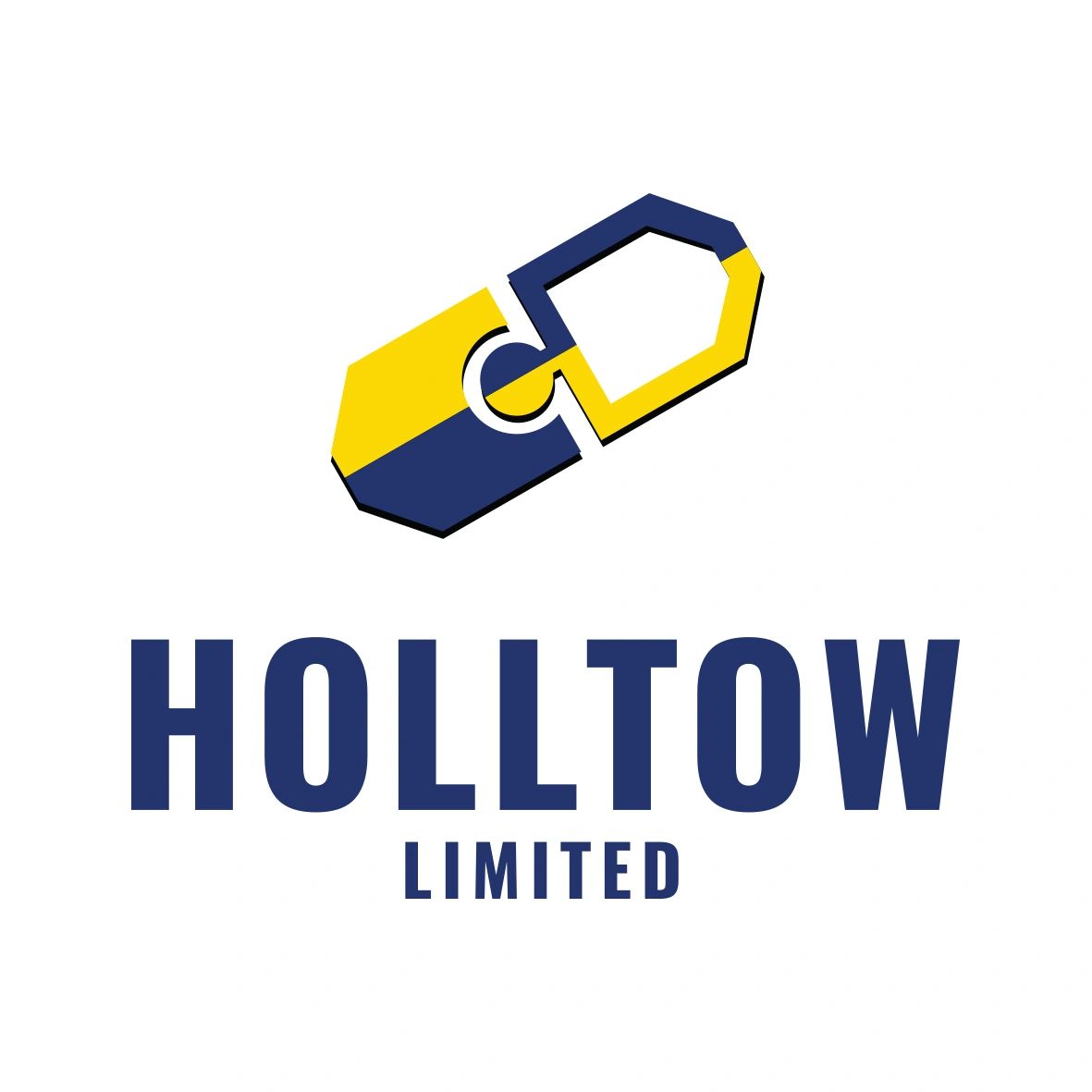 Colorful logo with two interlocking shapes and text 'Holltow Limited'.