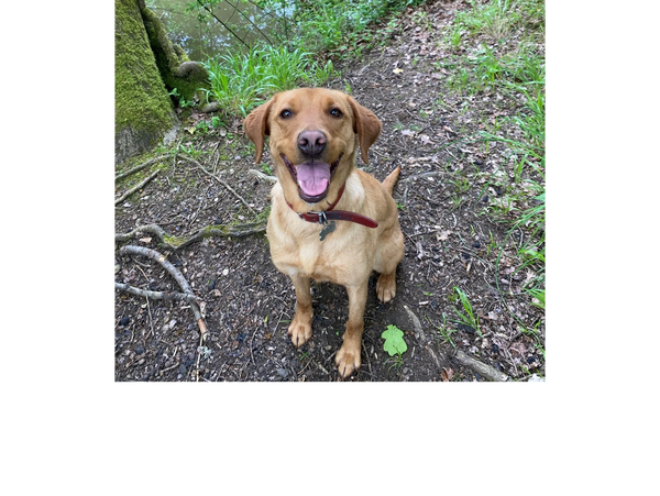 Gwen being her usual happy, smiley self.