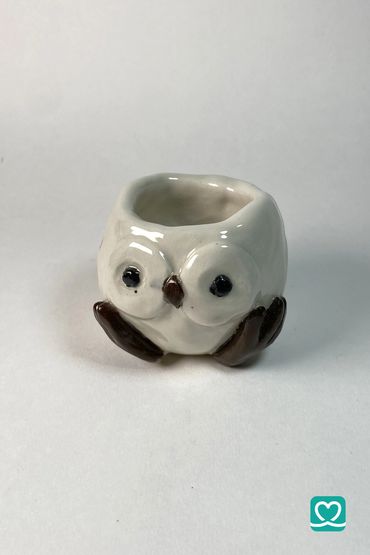 Small ceramic owl planter with big eyes and brown feet.