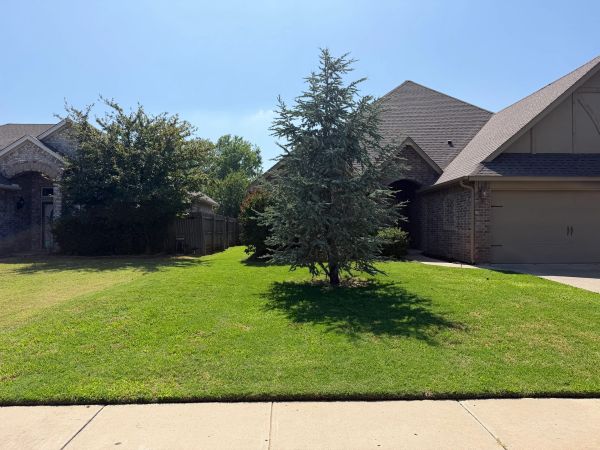 House with a green lawn and a central tree.