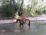 Cooling off.. shes a water hog! 