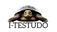 I-Testudo