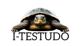 I-Testudo