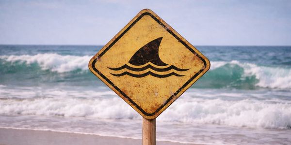 Warning sign of shark fin at the beach.