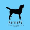 Silhouette of a dog with KarmaK9 logo and motivational tagline on blue background.