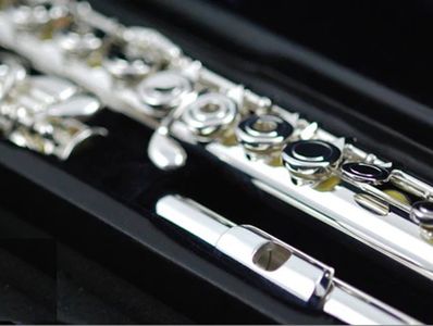 Di Zhao DZ-601 intermediate flutes, upgraded from DZ-500, open hole and pointed arms and B foot
