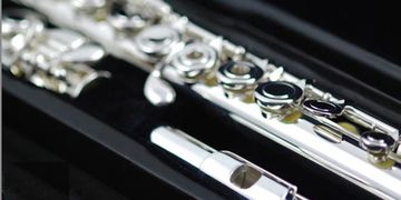 Di Zhao DZ 401 flute