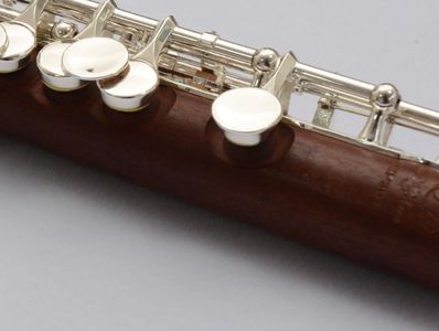 Di Zhao DZP 301 rosewood piccolo. A mellower, brighter sound than the traditional grenadilla piccolo