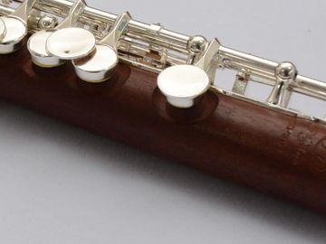 Di Zhao DZP-301 rosewod piccolo