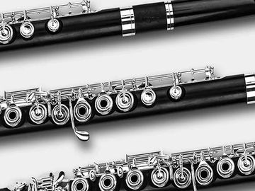 Di Zhao grenadilla wood flutes