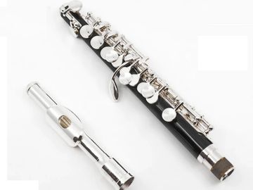 Di Zhao DZP-101 student piccolo
