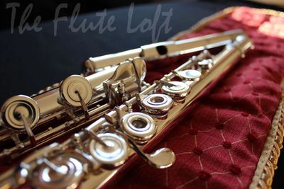 Di Zhao DZ-801 advanced flute, upgraded from DZ-700, open hole pointed arms, sterling silver body an