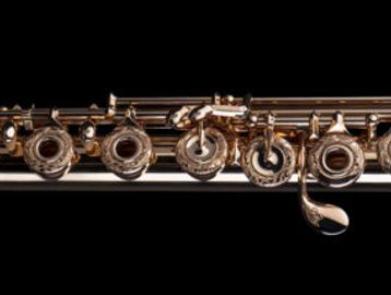 Di Zhao DZ G14 gold handmade flutes