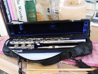 Di Zhao DZ-301 flute, upgraded from DZ-200, with clear tone and easy playability for students