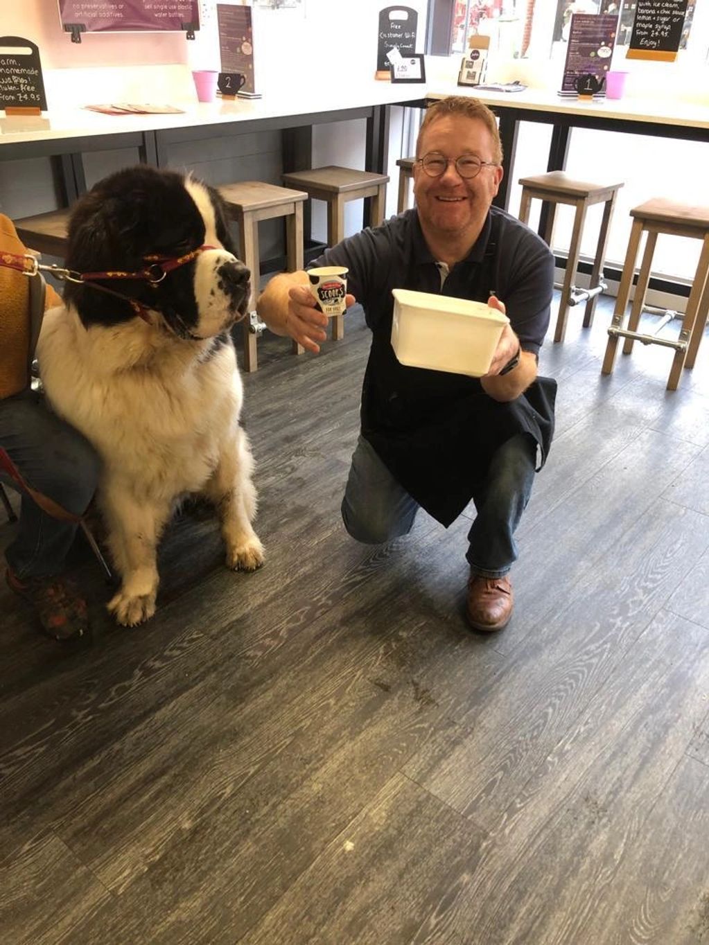 We welcome dogs in the bar area at the front of the cafe. Barney was the first to sample our doggy 