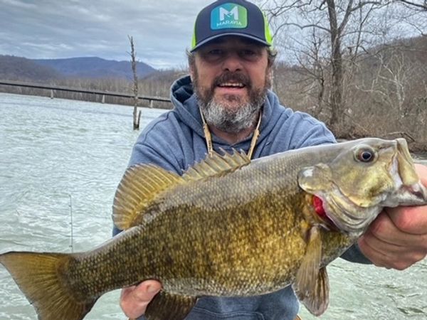 Teeya Mills — photo 1