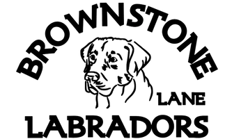 Brownstone Lane Labradors