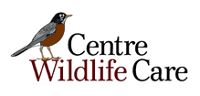 Centre Wildlife Care