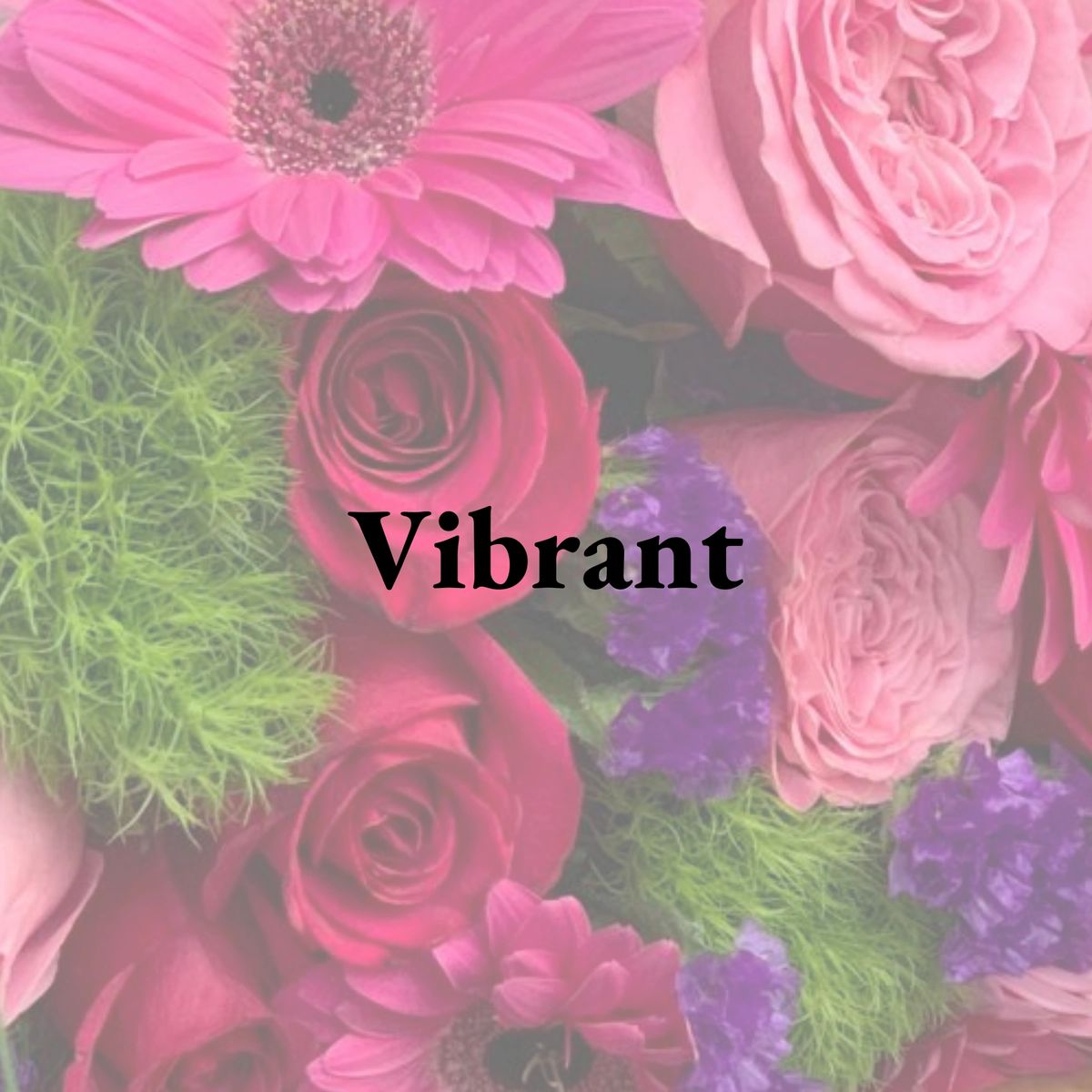 Vibrant