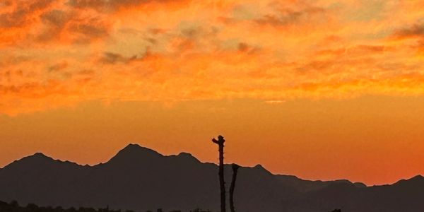 Sunset in the Arizona Desert