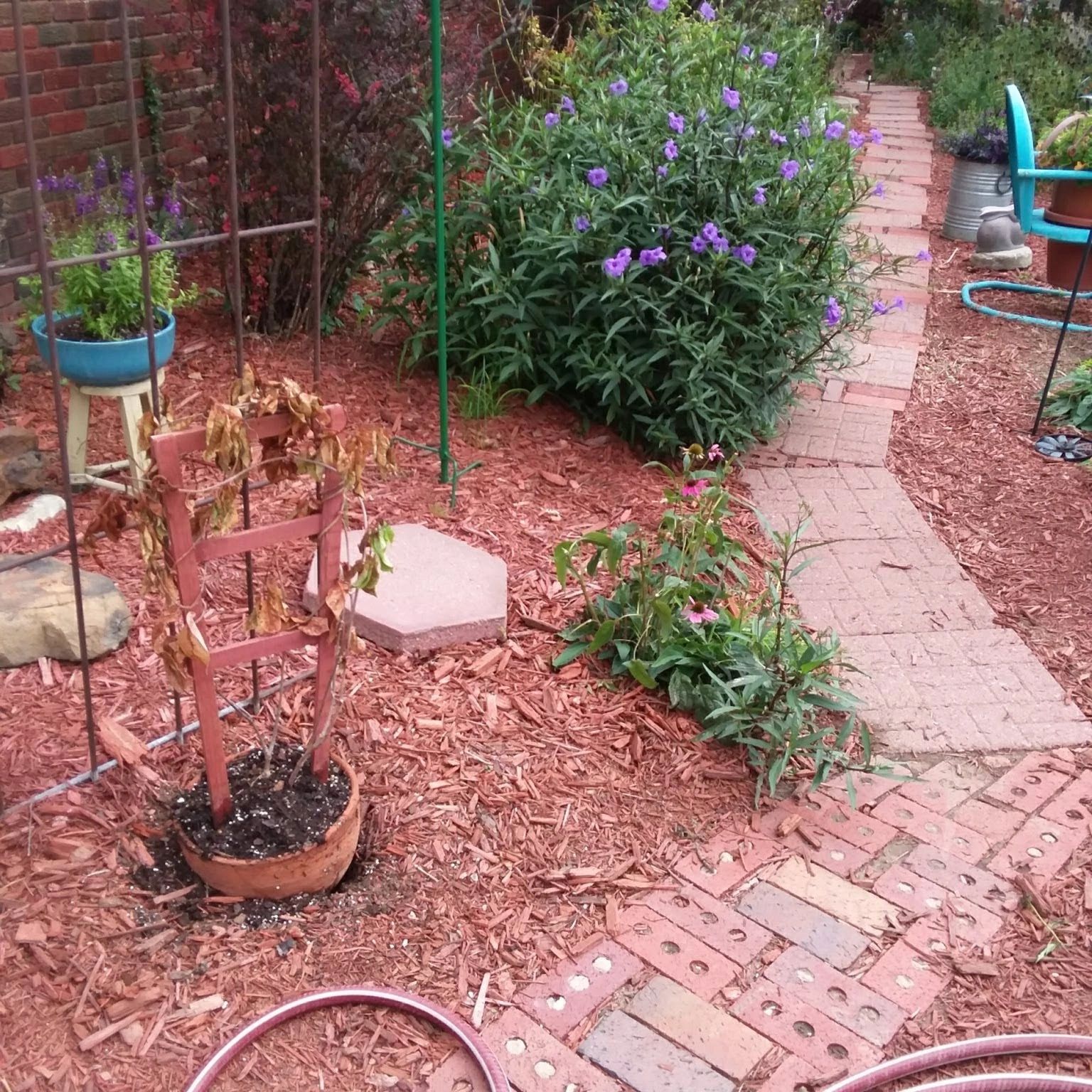 Southern Landscape LLC 2