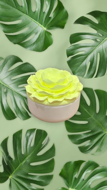 Yellow flower-shaped candle surrounded by green leaves on a light background.