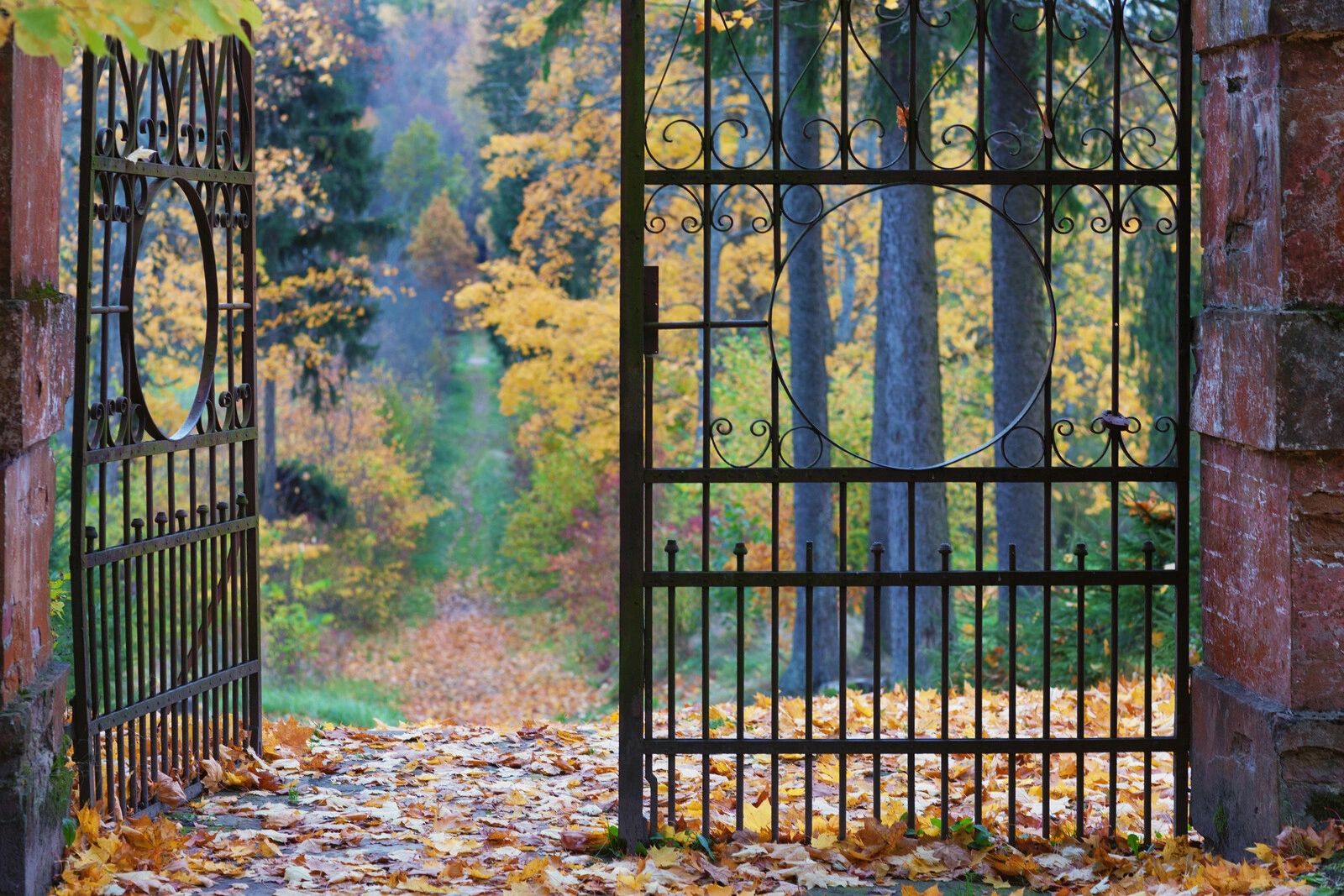 Fall Fair Gate Hekate and The Gate of Autumn