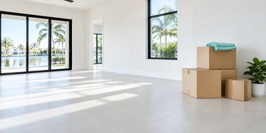 Empty room with moving boxes and a plant near a window.