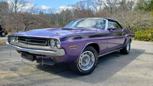 Purple classic Dodge Challenger convertible parked outdoors on a sunny day.