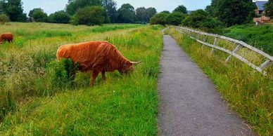 There are four circular walks around the Common, the largest area of Common Land in Bedfordshire. To