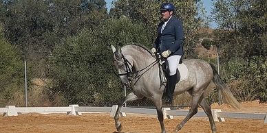 Rider on Small grey Andalusia n horse