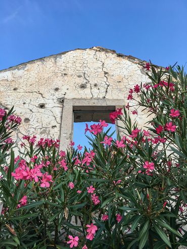 A house abandoned after the wars from 1991 to 1995, riddled with bullets.