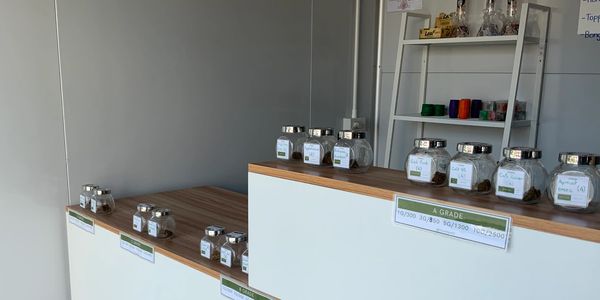 Inside Weed store