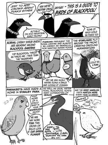 Comic guide to birds of Blackpool with punk references.