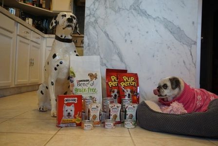 Trixie the Pug for Kroger 