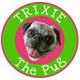 Trixie the Pug