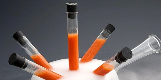 El bar con concepto de mixologia molecular ofrece gran variedad de cocteles.