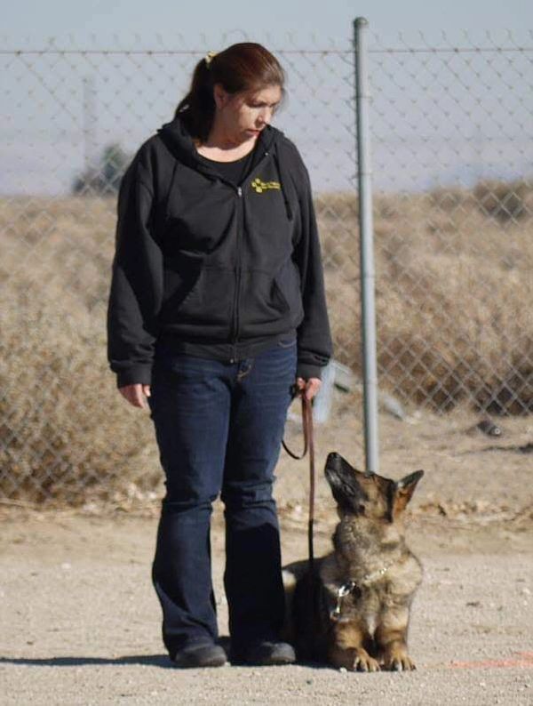 Certified professional dog trainer Lynne Bell working with a German Shepherd in Vernal Utah