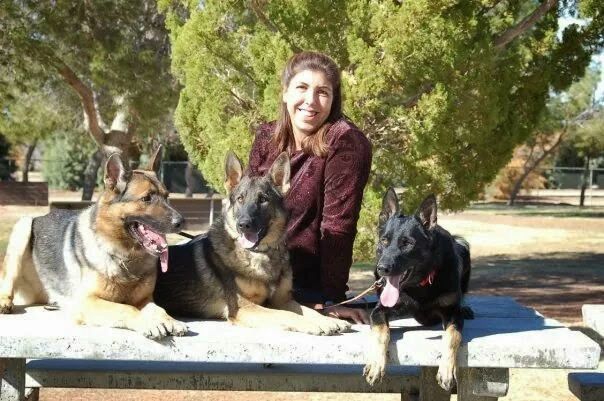 Lynne with three German Shepherds on a park bench