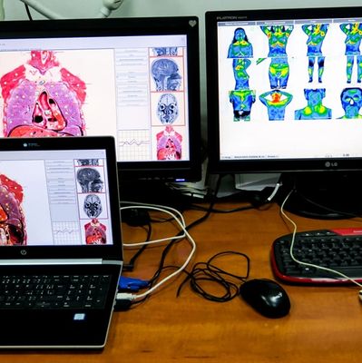 Quantum Analysis and Bio Resonance Scan.