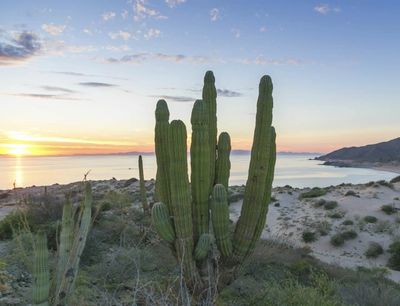 Sonora desert punta chueca bay ath the seri comcaac community
