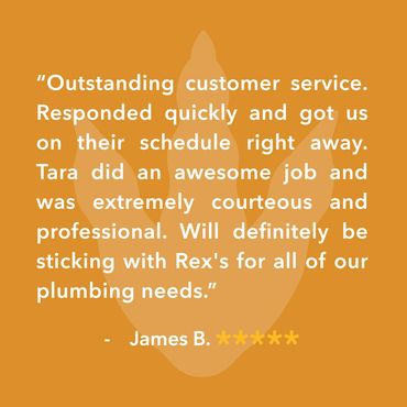 Outstanding customer service. Responded quickly and got us on their schedule right away. 