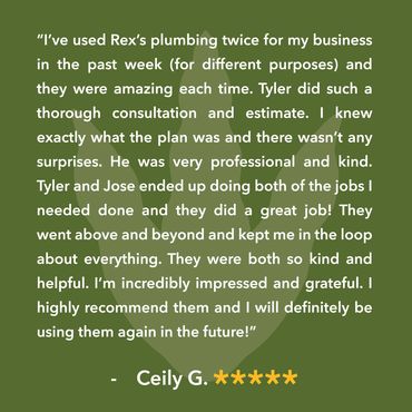 I’ve used Rex’s plumbing twice for my business in the past week and they were amazing each time.