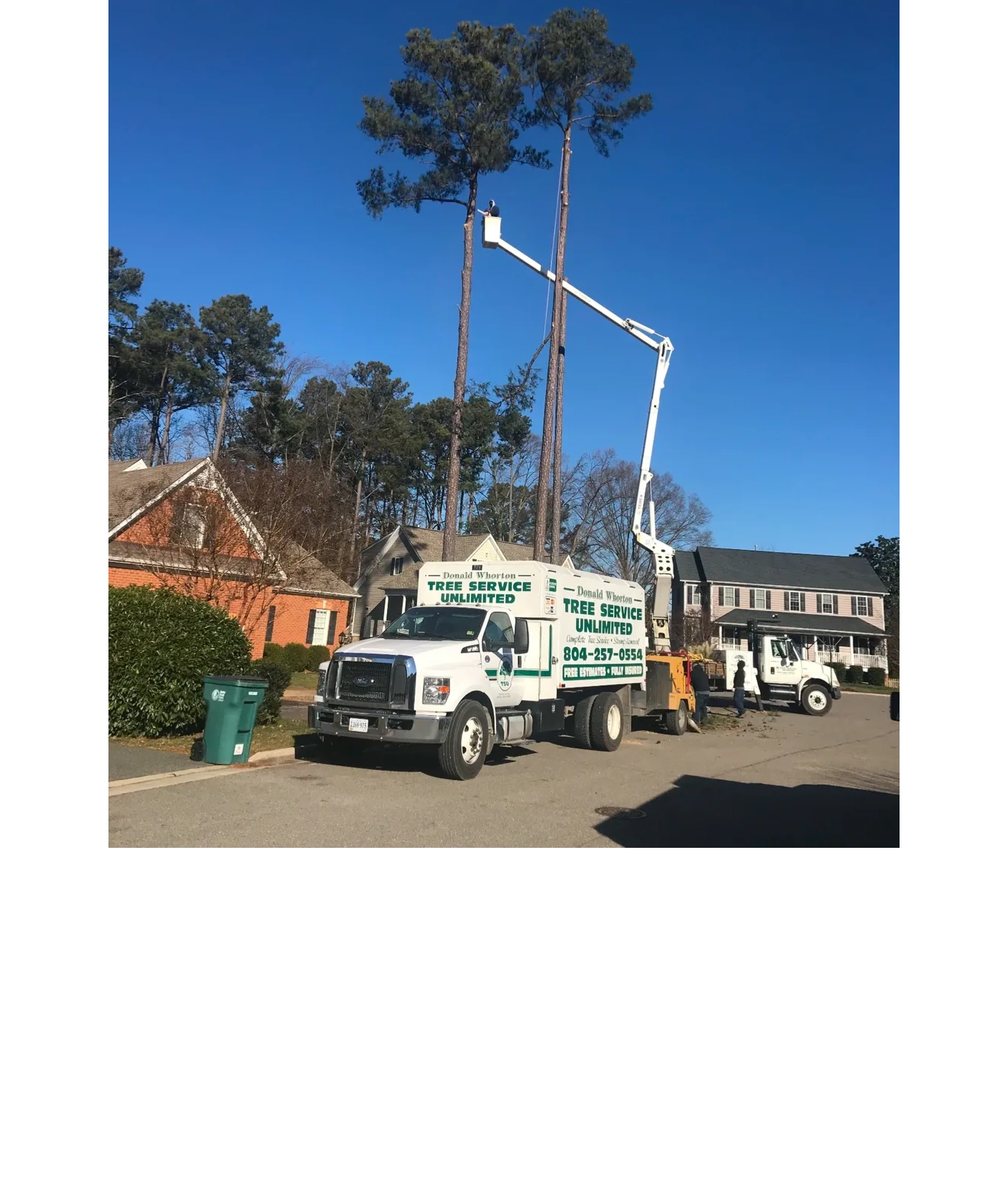 Donald Whorton tree service unlimited work site